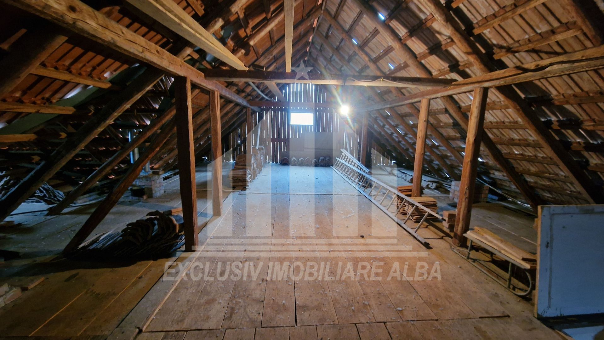 Casa cu livada in Cetea - Poză 25