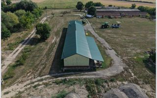 Spatiu multifunctional Salonta - Poză 4