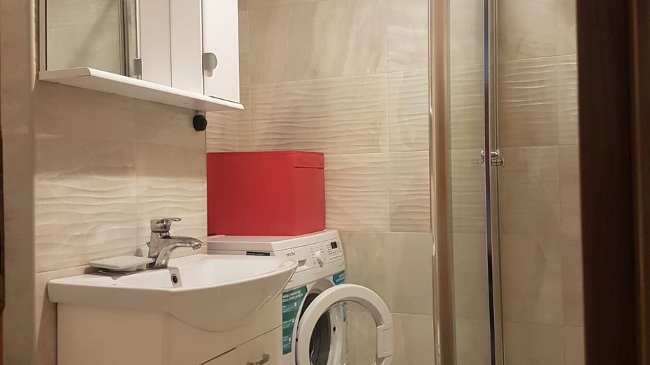 Apartament 2 camere de inchiriat, Pet Friendly, Piata Victoriei - Poză 5
