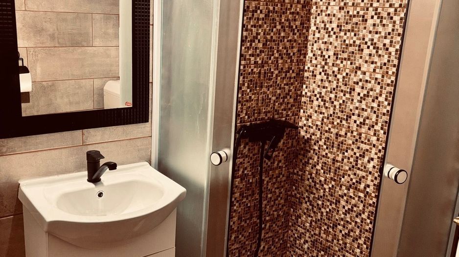 Calea Buziasului | 1 Camera | Recent renovat | Disponibil imediat - Poză 8