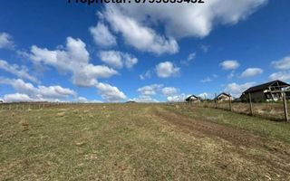 # - Teren intravilan 954 mp – Dumbrava, Iasi. - Poză 1