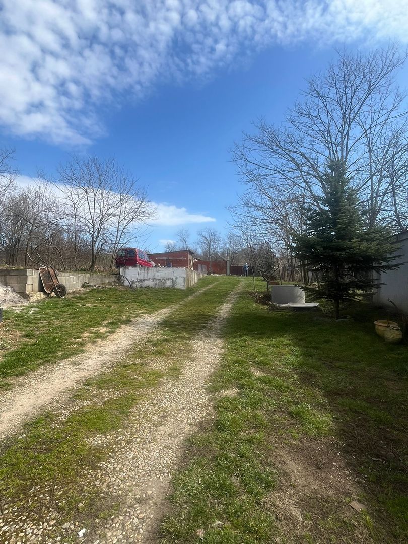 Casă cu 2 locuințe, teren intravilan 7062 mp Cetariu, Bihor - Poză 8