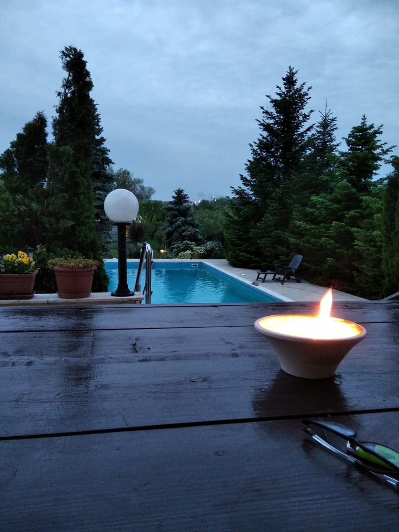 Vilă cu 8 camere de vânzare, piscina, livada, iesire la Balta Pasarea - Poză 34