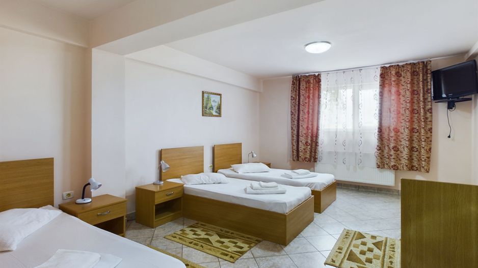 Pensiune in Arad (Vladimirescu) pe DN7 - Poză 15