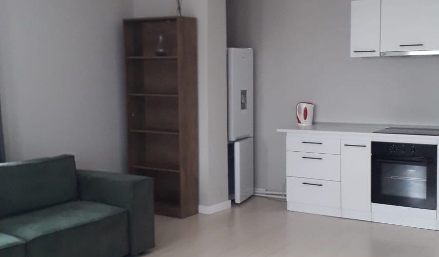 De inchiriat 2 apartamente cu 2 camere, etaj 1/2, strada Domneasca, 500 E - Poză 8