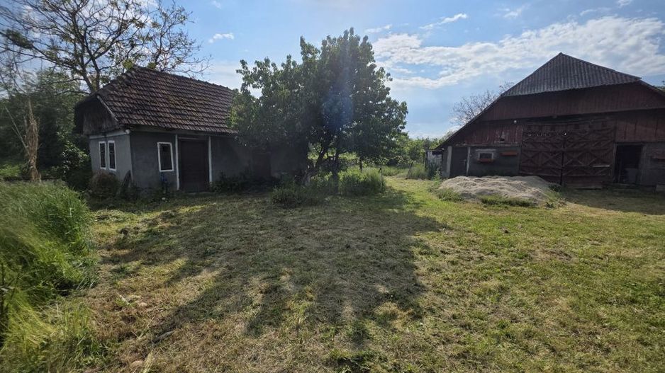 De Vânzare Casă Valea Vinului - Poză 3