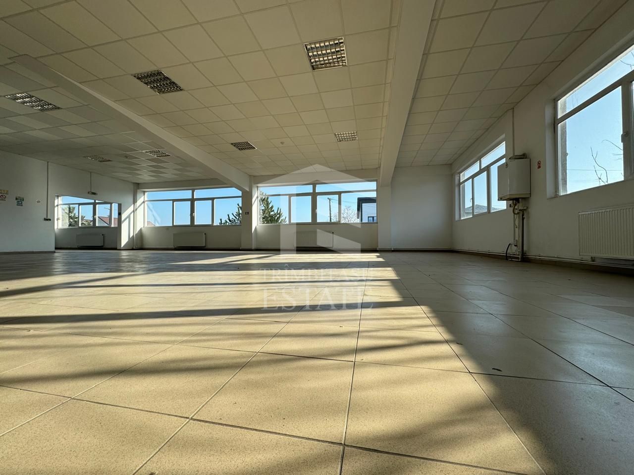 Hala productie P+1 si apartament de serviciu Navodari - c-tie beton - Poză 8