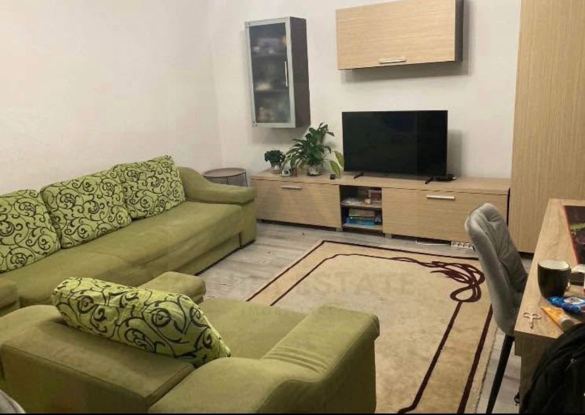 Apartament 2 camere modern Doamna Stanca - Poză 2