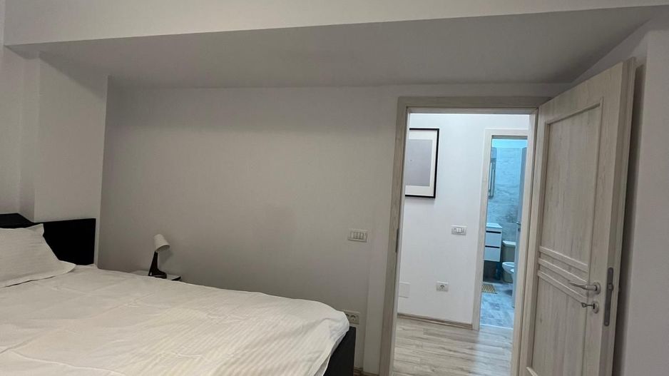 Apartament 3 camere Sala Radio Plevnei - Poză 9