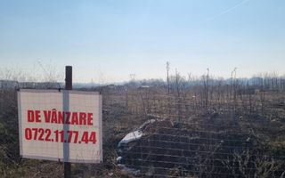 Teren cu Vedre Lac - Poză 12