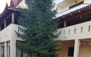 Hotel cu arhitectură montană deosebită poziționare premium Sâmbătă de Sus - Poză 16
