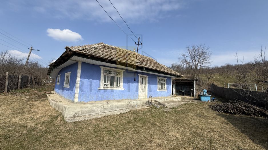 Teren intravilan Dobrovat + Casa Batraneasca - Poză 2