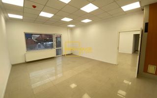 Spațiu de birouri / showroom de închiriat | Zona Blumana | Vedere panoramică - Poză 12