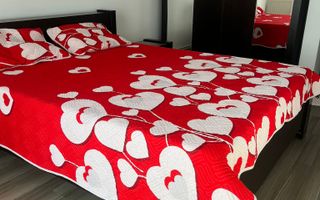 Apartament 2 camere 55 mp utili  Etaj 4/6 lift zona  Turnisor - Poză 6