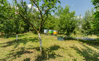 Casă de vânzare Tâncăbești cu grădină, aproape de lac - Poză 27