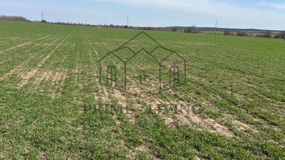 Teren pentru investiție - Poză 3