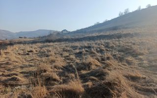Teren extravilan 3000 mp de vănzare - Poză 5