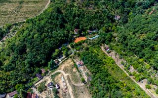 PROPRIETATE VÂNDUTĂ Casă conac cu 15.000 mp deal împădurit la Barațca, - Poză 13