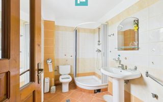 Vilă cu 5 camere pentru investiții în Dumbrăvița - Poză 12