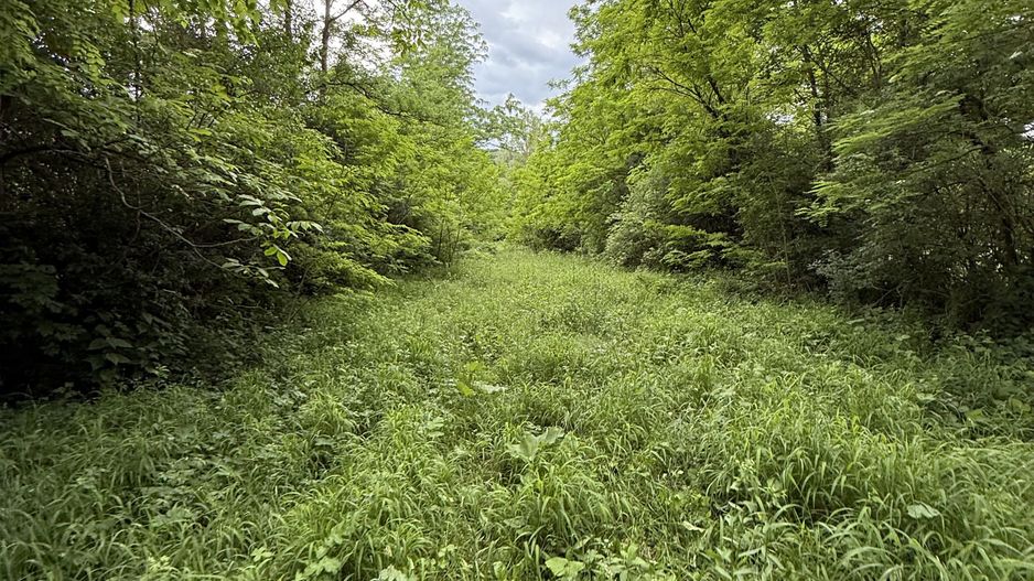 Teren plat-intravilan -3800 mp, cu pădurice și ieșire la râu! - Poză 23