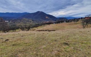 Rădăcini noi, visuri vechi- Teren de vanzare in Cisnadioara, Sibiu - Poză 5