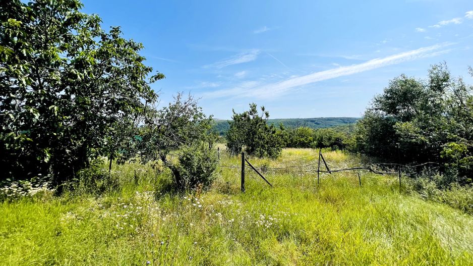 Casă + 2635 mp teren – oportunitate Cordǎu - Poză 5