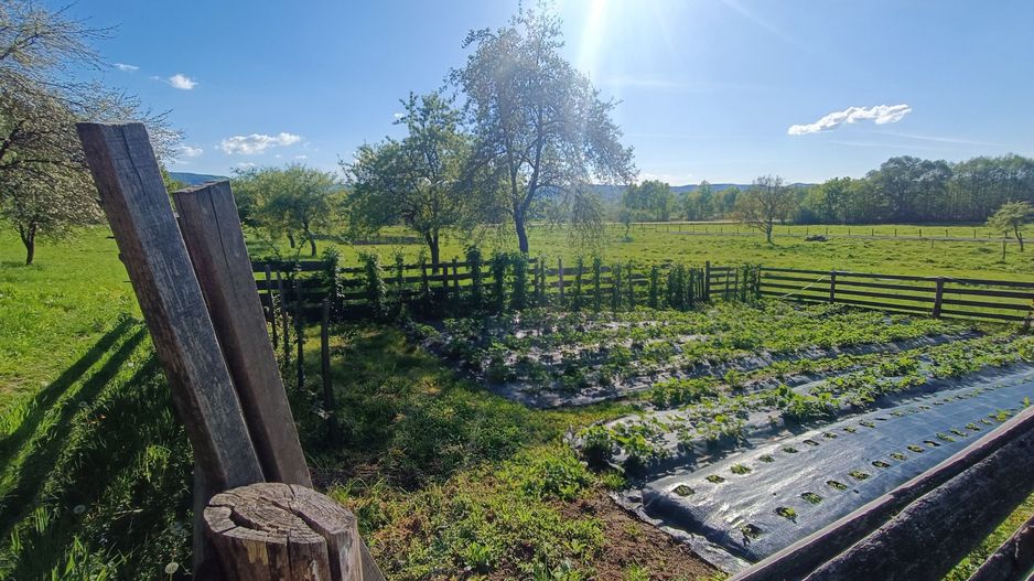 Descoperă căsuța ta de vis la poalele Munților Apuseni - Poză 19