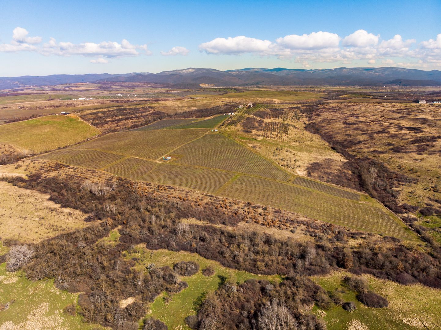 Plantație Bio de mure și zmeură  26,4 ha în Lipova - Poză 9