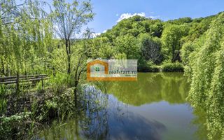 Oportunitate, Restaurant cu MiniPensiune 800mp, 1,8ha teren, Via Transilvanica - Poză 59