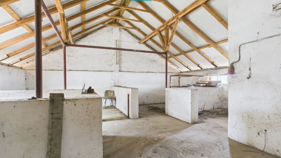 Hală pentru producție / fermă zootehnică  - Variaș - Poză 10