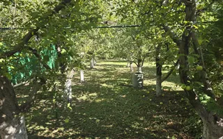 Vilă elegantă și casă independentă pentru oaspeți - Banesti - Poză 38