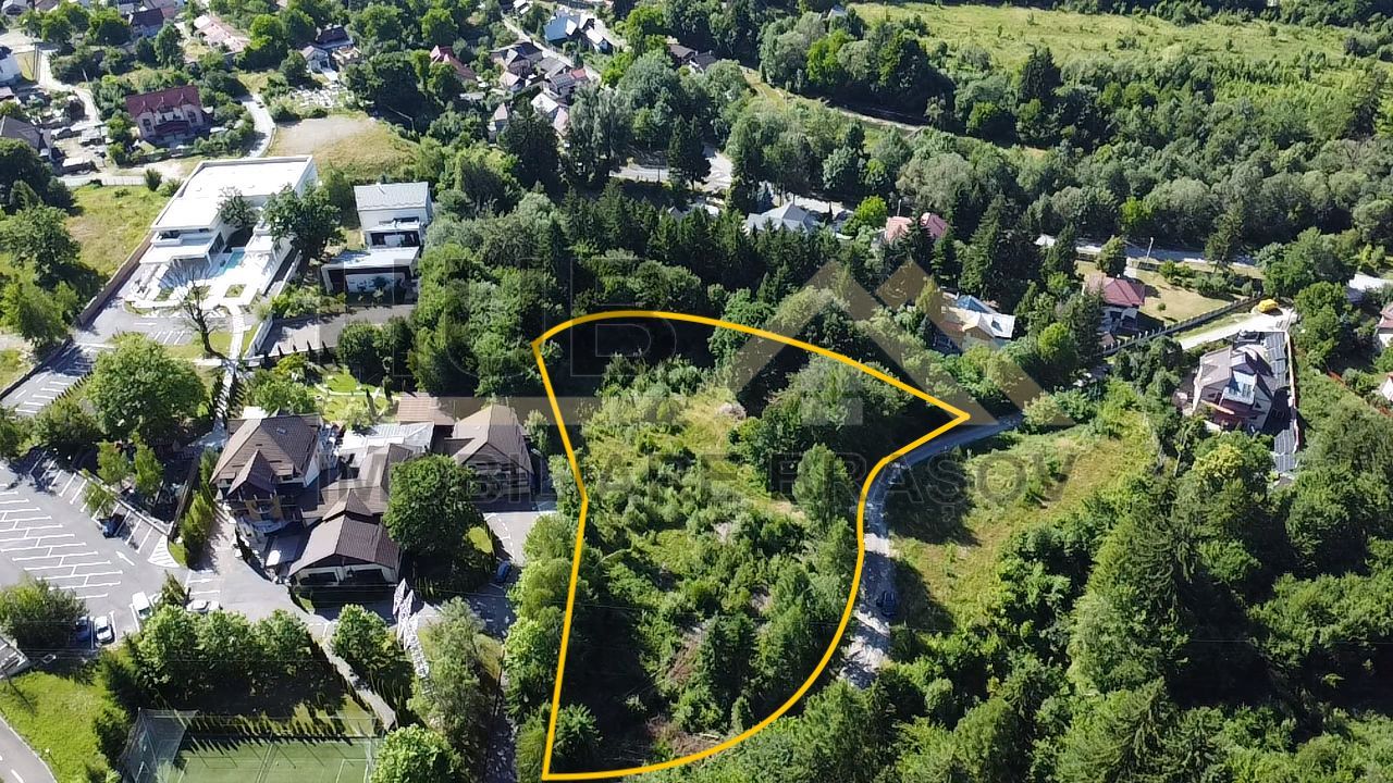 Oportunitate Investitie Teren Dambu Morii | Necesar PUD | Utilitati | 4.800mp - Poză 5