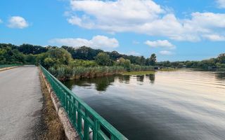 Teren în Snagov, intre Lac și Pădure - Poză 6