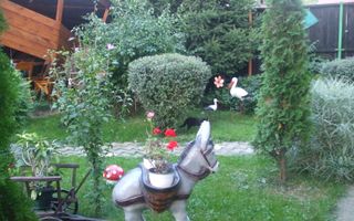 Vila individuala 3 camere Cristian, Brasov - Poză 15