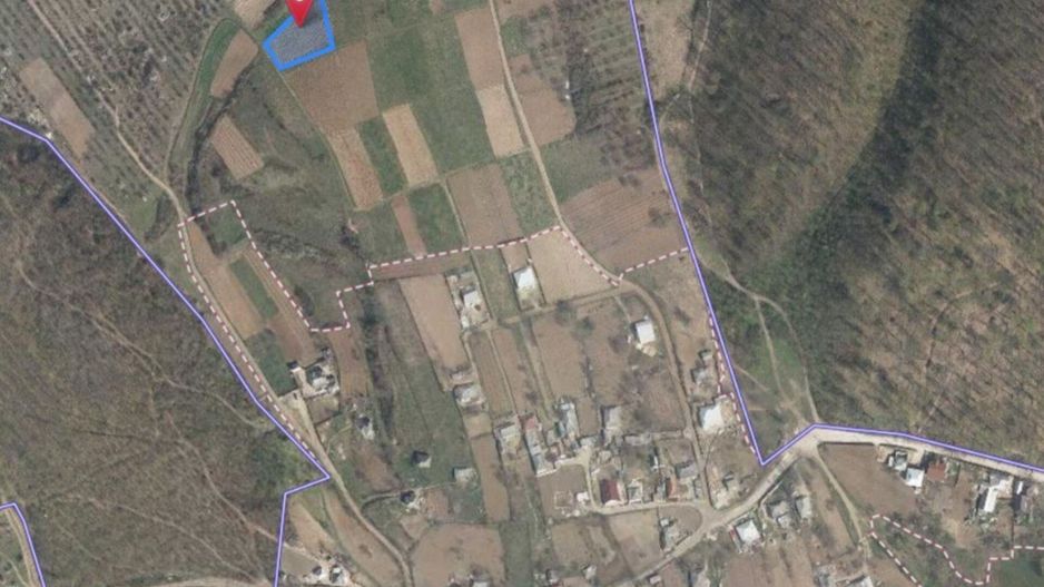 Tabăra/Orhei | 12.87 ari | Teren în inima Codrilor – Ideal pentru evadare în natură sau investiție - Poză 7