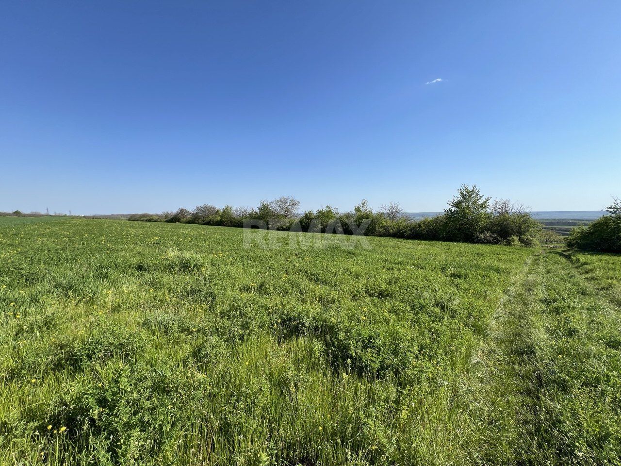 Teren agricol de 40 ari în Ghidighici – oportunitate pentru investiție sau activitate agricolă - Poză 5