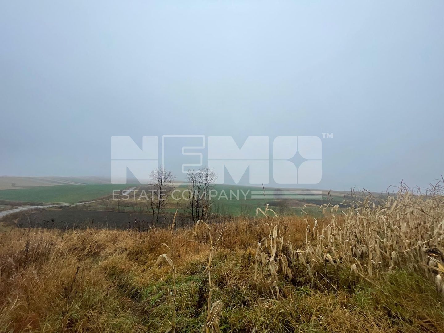 TEREN EXTRAVILAN | DOUA PARCELE 2.84 HA| IDEAL AGRICOL | DARMANESTI - Poză 4