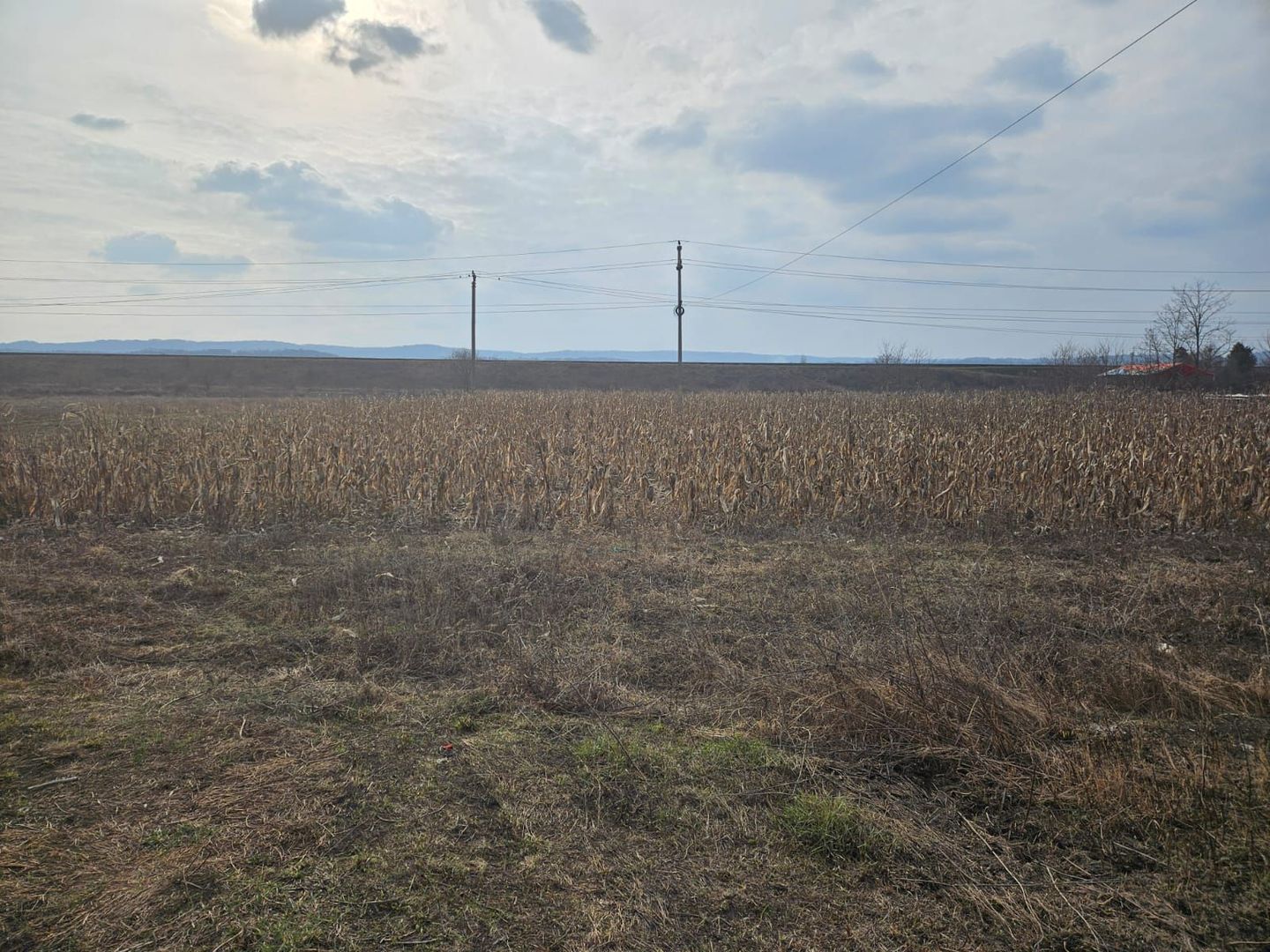 SUPEROFERTA !!! Teren 8000 mp,  Merisani, langa DN si Autostrada - Poză 8