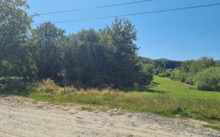 EXCLUSIVITATE! Teren la șoseaua principală | Tocile - Poză 3