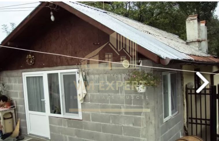 CASA 4 CAMERE, TEREN 8387 MP, POIENARII DE MUSCEL, ARGES - Poză 11