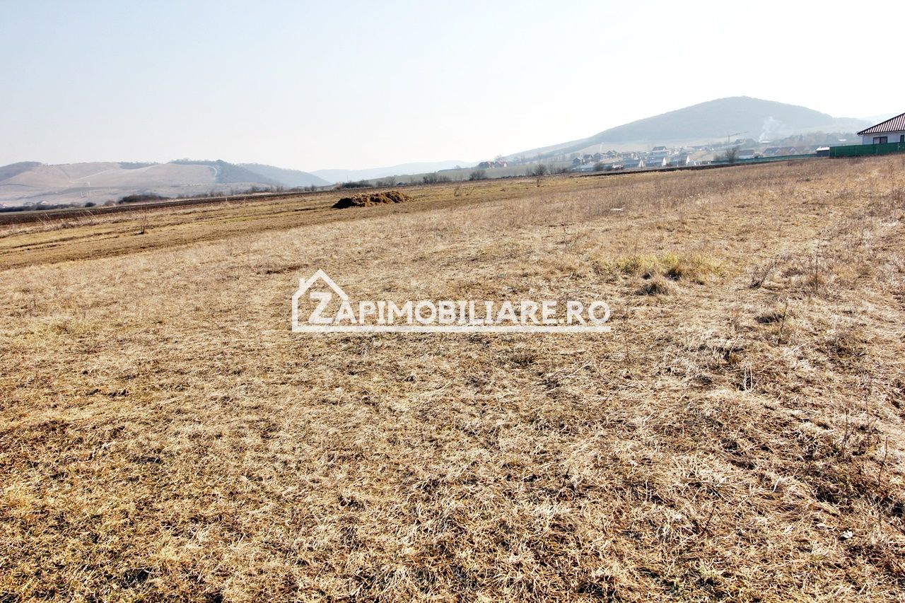 Teren  Intravilan 2.075 mp. 59.euro mp.Sangeorgiu de Mures - Poză 6