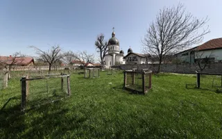 Casă Săsească Autentică cu Șură Impresionantă în Cristian – Teren 2729mp - Poză 13