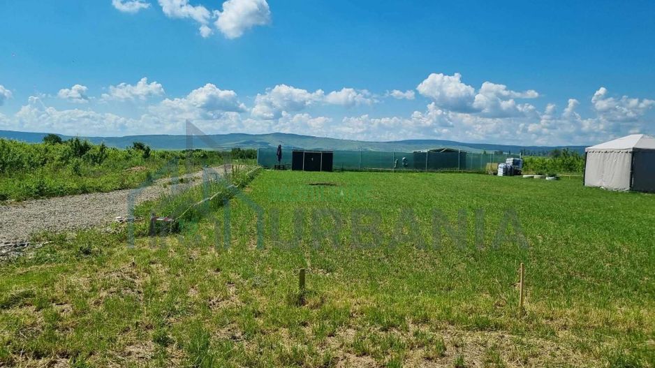 Teren extravilan Miroslava, zona Ferma Liliac – 722 mp – oportunitate de investiție – 10.000 euro - Poză 2