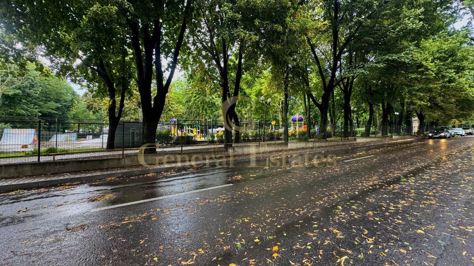 Vânzare Casă cu aplasare Strategică - Copou - Parcul Expoziției - Poză 17