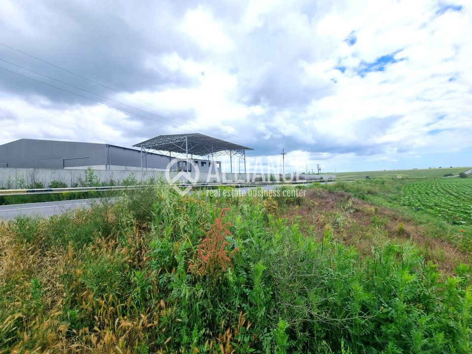 OVIDIU (COD 02)  - teren extravilan 4000 mp - Poză 4