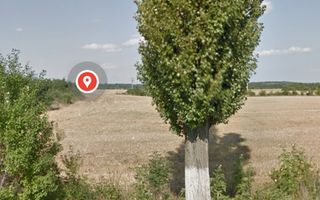 Teren intravilan 80975 mp in Crevedia - Poză 5