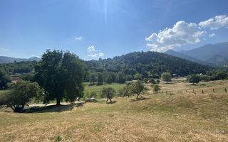 Teren extravilan de vânzare în Râșnov | 6.070 mp | Vedere panoramică - Poză 1