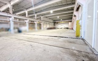 Spatiu industrial flexibil (Depozitare, Logistica, Productie) - Poză 6