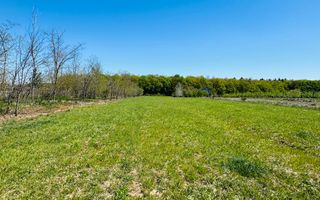 Teren intravilan 3800 mp Alparea lângă pădure - Poză 2