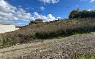 Teren intravilan de vanzare, Micesti - Poză 4